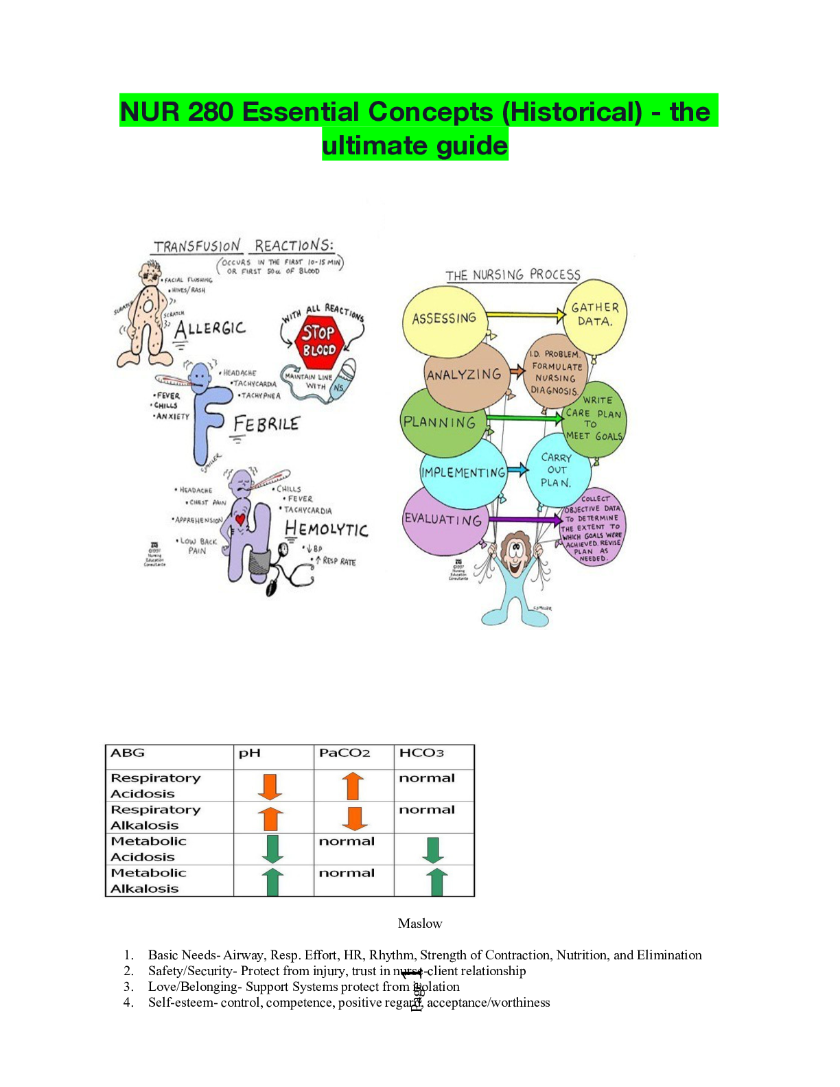 Preview of NUR 280 Essential Concepts (Historical) - the ultimate guide